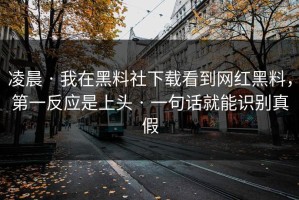凌晨 · 我在黑料社下载看到网红黑料，第一反应是上头 · 一句话就能识别真假