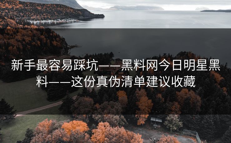 新手最容易踩坑——黑料网今日明星黑料——这份真伪清单建议收藏