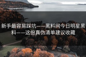 新手最容易踩坑——黑料网今日明星黑料——这份真伪清单建议收藏