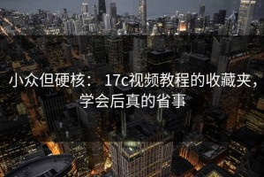 小众但硬核： 17c视频教程的收藏夹，学会后真的省事