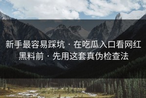 新手最容易踩坑 · 在吃瓜入口看网红黑料前 · 先用这套真伪检查法