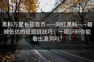 黑料万里长征首页——网红黑料——最被低估的证据链技巧：一眼识别你能看出漏洞吗？