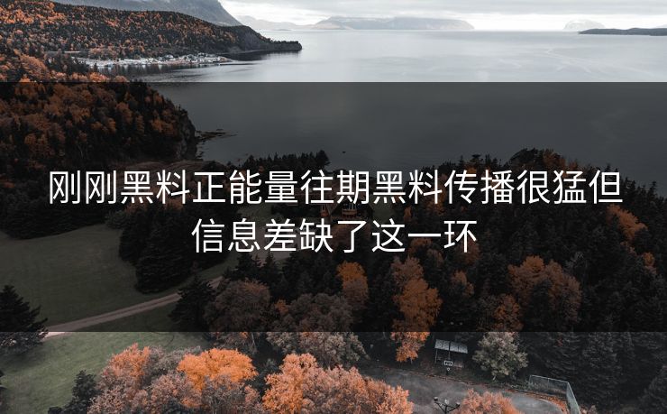 刚刚黑料正能量往期黑料传播很猛但信息差缺了这一环