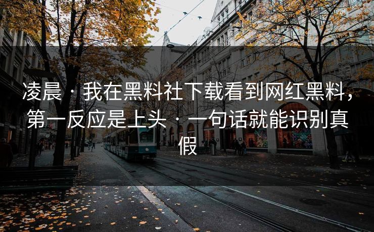 凌晨 · 我在黑料社下载看到网红黑料，第一反应是上头 · 一句话就能识别真假